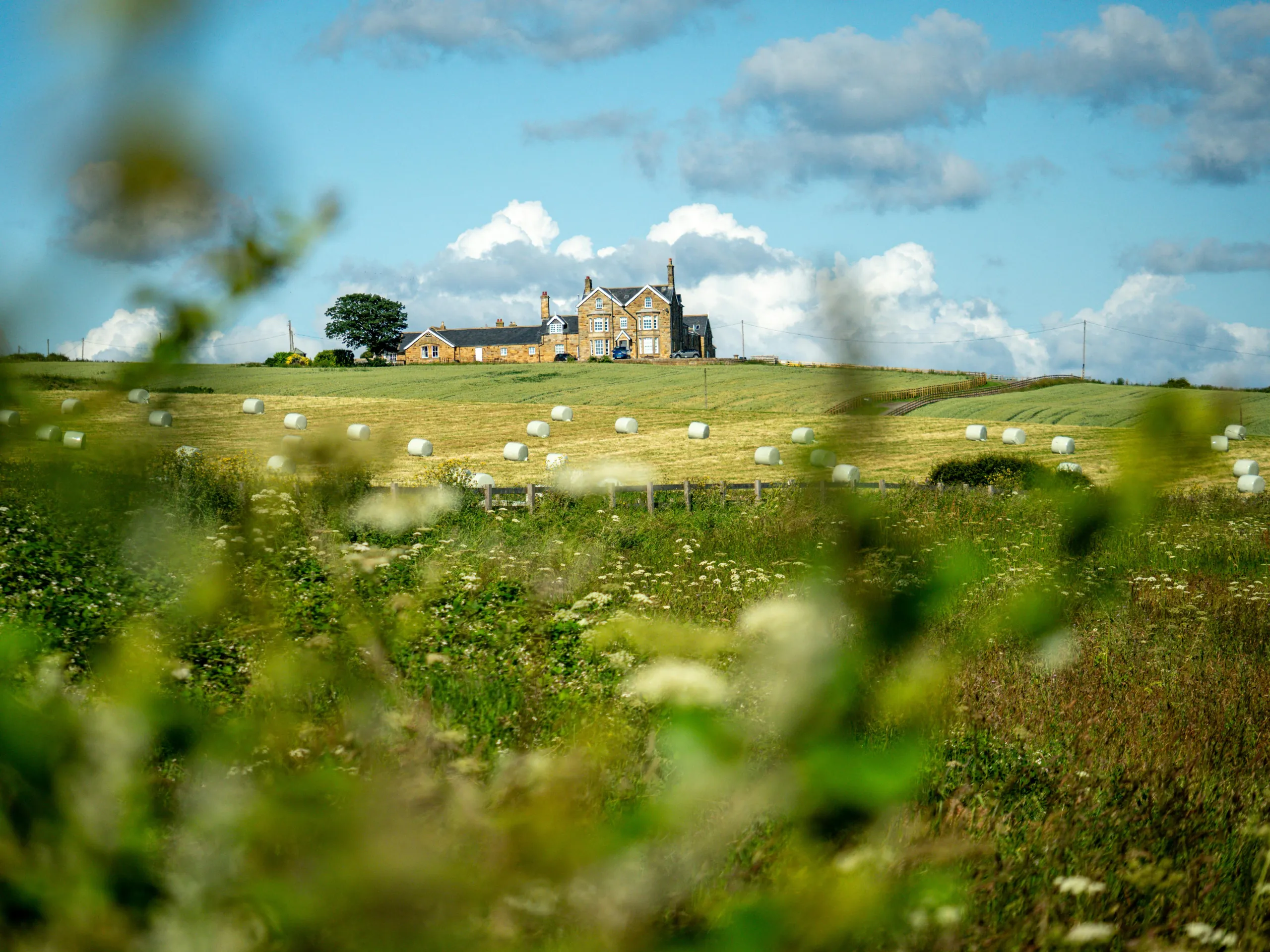 ferme belgique solufruit