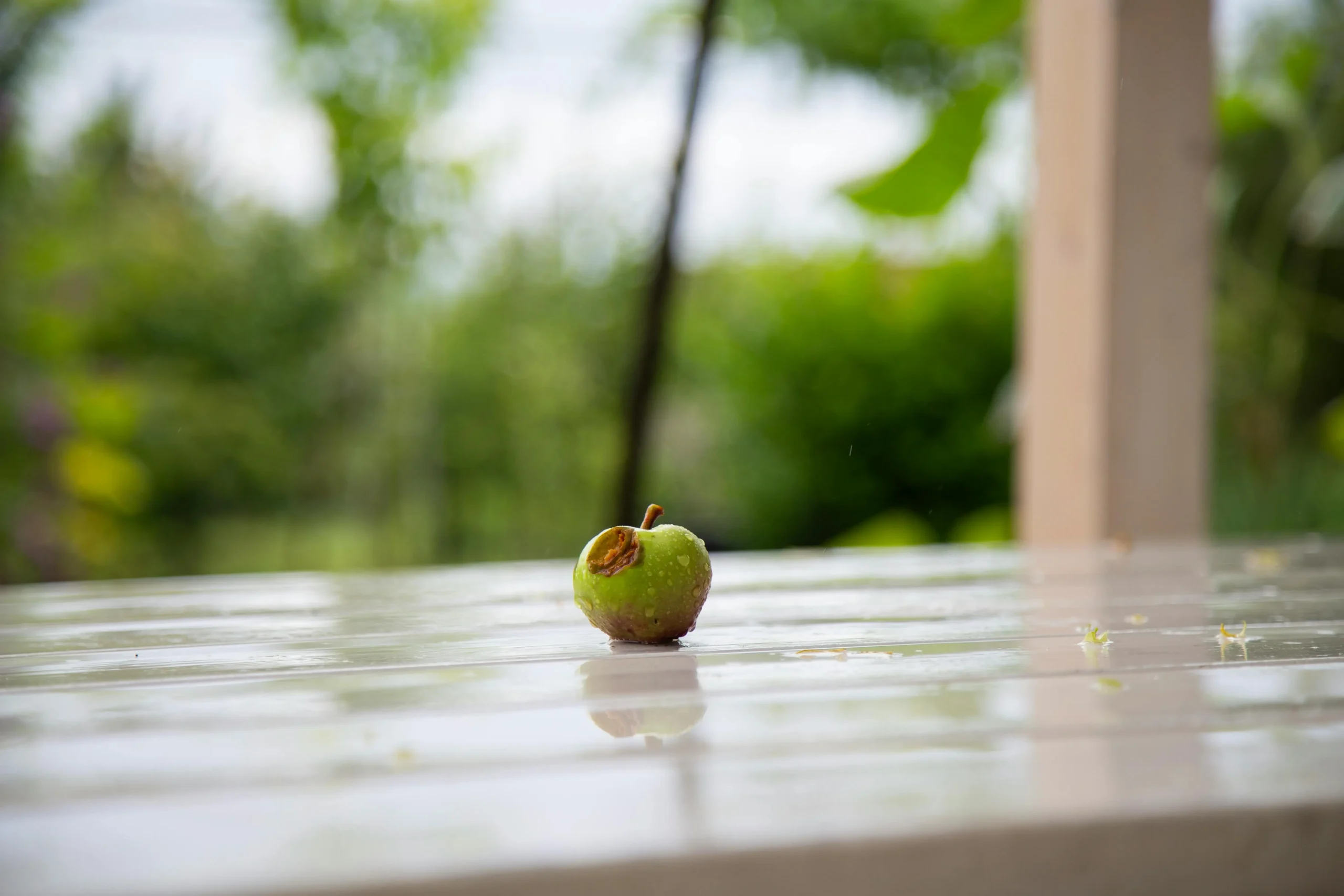 green apple ingredient