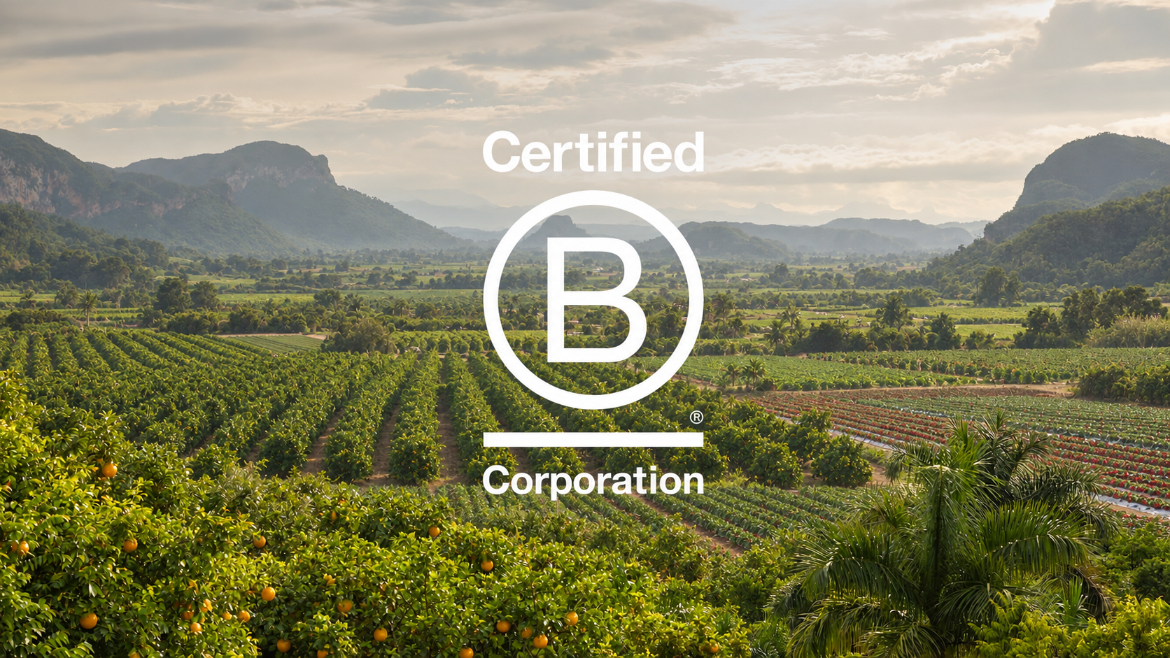 Bcorp Solufruit